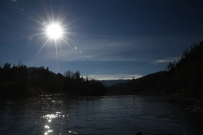 DSC_0277 (Large).JPG